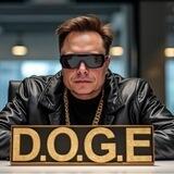 D.O.G.E PORTAL