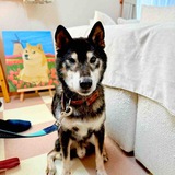 Takki