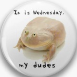 It is Wednesday My Dudes