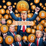 BITCOINERS $BTC100K | PORTAL