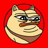 $CHONKY on ETH | Portal