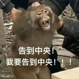 缅北吃瓜聊天群