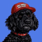 $CHAPPY | Trump's Dog