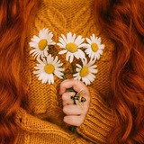 نبات گل🌻