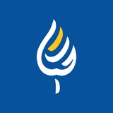 بنیاد حیات