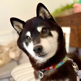 Cocoro on ETH