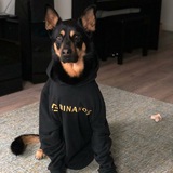 Perry Binance Chat