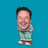 chill musk