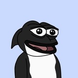 $WANG Portal
