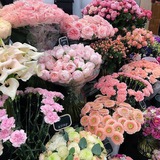 𝜗𝜚 pre;tty “꽃” 𓏵 a 𝓥 ibrant florist's shop, filled with a kaleidoscope of ✿.. 𓂃 ࣪ flowers that radiate 𝓑eaut(𝓨) ⢘ x.o .