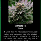 $CANA a Memecoin community movement advocating for the legalisation of cannabis globally and regulation to minimise its abuse...