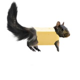 Peanut Butter Portal CTO