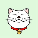 $SHIRO | Shiro Neko 🐈