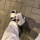 دعــ150kــم¦𝒍𝒃𝒓𝒂𝒉𝒊𝒎 •