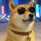 PumpSwapLP