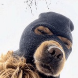 $RUFF