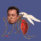 MUSKITO | PORTAL