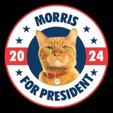 $MORRIS CTO