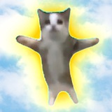 Happy Cat Chat
