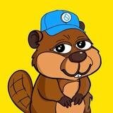 SUI BEAVER