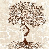 افرا