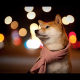 SUKI ~ Portal