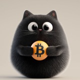 $BITCAT—Bsc Chain