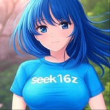 seek16z portal
