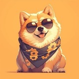 POM BSC 🐶🐶🐶
