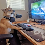 JOSH Community