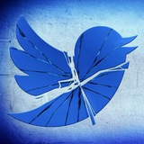 Larry The Bird CTO-Portal