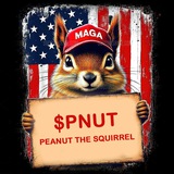 PNUT [Binance] - Peanut The Squirrel