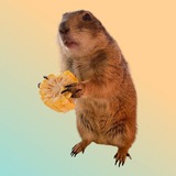 Poppy the prairie dog