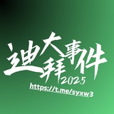 ◉迪拜新闻曝光 - 【视野资讯】