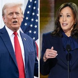 The US Elections 2024 ($TVSH)