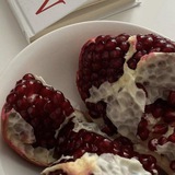ㅤㅤ 𝓯. elusive-glyphs: 🦌🍒