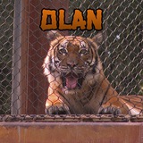 OLAN