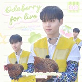DOBERRY ♡