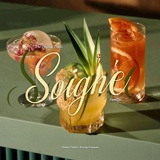 The Tropical Trails: Soigné Famillie