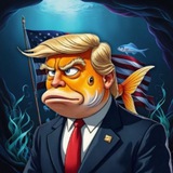 Orange "OG" Grouper (Public)