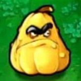 吃瓜爆料 QQfofo