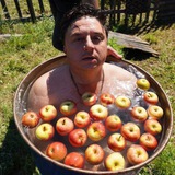 Rodik