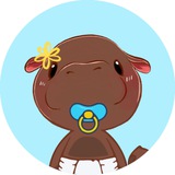 Baby Moo Deng Portal