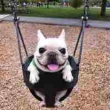 SWINGY