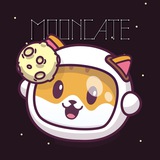 Moon Cate Portal