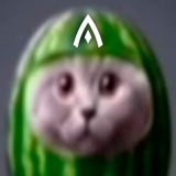 AVULUS Chat