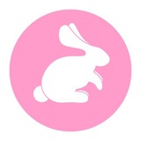 Bunny Studio🐇