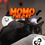 Momo the Google Doodle