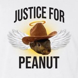 $JPNUT Justice For Peanut