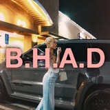 $BHAD Portal